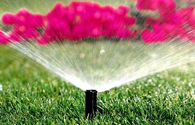 arrosage automatique arrosage automatique