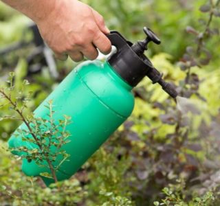 désherber totalement son jardin